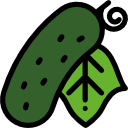 pepino icon