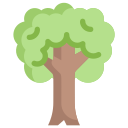 Árbol