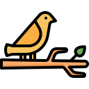 pájaro icon