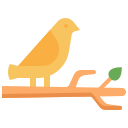 pájaro icon