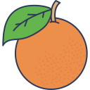 naranja icon