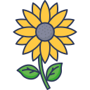 girasol icon