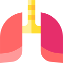 pulmones