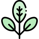 feuilles icon