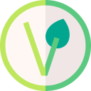 vegano icon