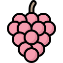 uvas icon