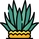 agave icon