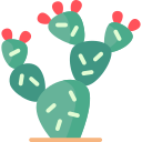 nopal icon