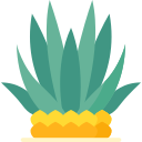 agave icon