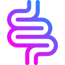 Intestine 