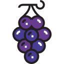 uvas icon