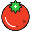 tomate icon