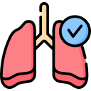 pulmones icon