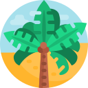 palmera icon