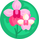 orquídea icon