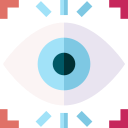 ojo icon