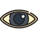 ojo icon