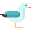 gaviota icon