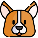 corgi icon