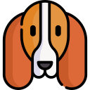 basset hound icon