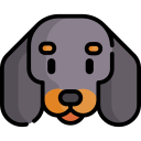 perro tejonero icon