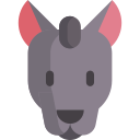 xoloitzcuintle