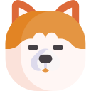 akita 