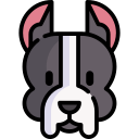 american staffordshire terrier icon