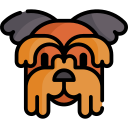 yorkshire terrier icon