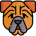 shar pei icon