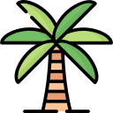 palmera 