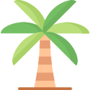 palmera 