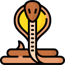 cobra icon