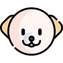 bichón frisé icon