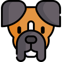 boxer icon