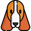 springer spaniel icon