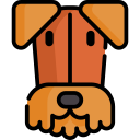 terrier de airedale icon