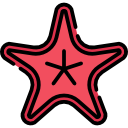 estrella de mar 