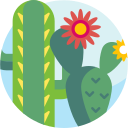 cactus icon