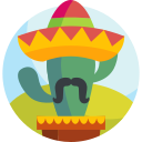 cinco de mayo icon