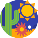 cactus icon