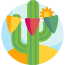 cinco de mayo icon