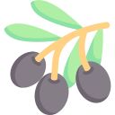 aceituna icon