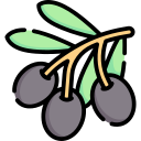 aceituna icon