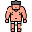 sumo icon