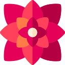dalia 