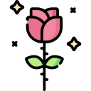 rosa icon