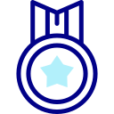 insignia icon