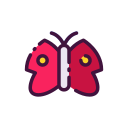 mariposa