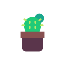 cactus icon